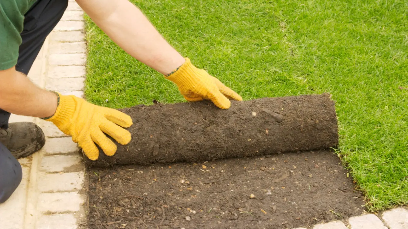 Fresh Turf Solutions - Repair Services (1)