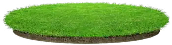Backyard - Fresh Turf Solutions
