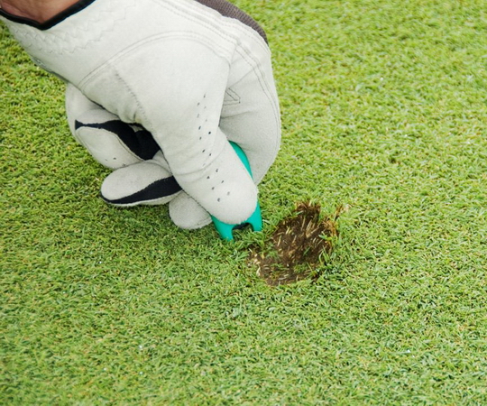 Turf Divot Repair Services