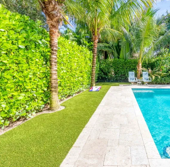 Choosing a Turf Cleaning Company in Jupiter - What to Check