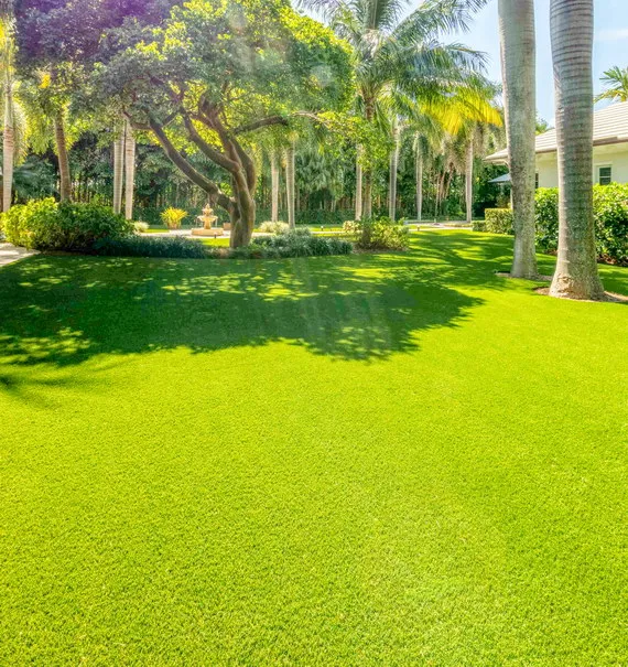 Seam, Edge & Transition Tune-Ups - Artificial Turf Cleaning West Palm Beach