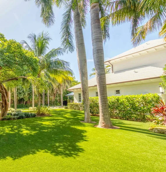 Shade-Area Growth Control - Artificial Turf Cleaning Jupiter, FL