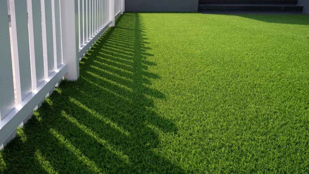 South Florida Artificial Turf Cleaning Guide Odor Removal, Disinfection & Maintenance