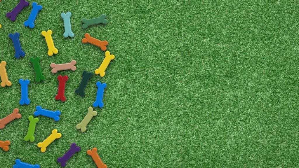 West Palm Beach Pet-Friendly Turf Care Safe Cleaning, Enzyme Odor Control & Quick Repairs for High-Traffic Yards