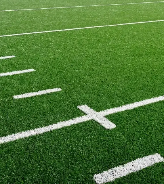 Edge, Border & Curb Transitions - Artificial Turf Repair West Palm Beach