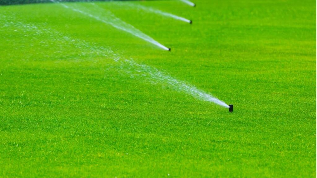 Puddle Free Artificial Grass Drainage Audits, Base Repairs & DIY Tests