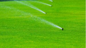 Puddle Free Artificial Grass Drainage Audits, Base Repairs & DIY Tests