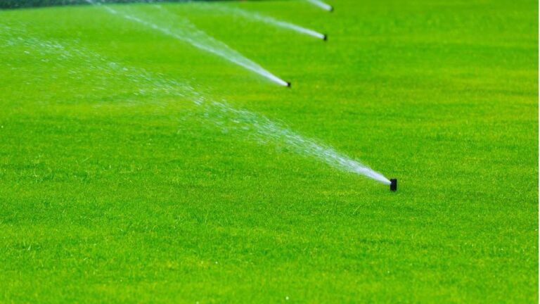 Puddle Free Artificial Grass Drainage Audits, Base Repairs & DIY Tests