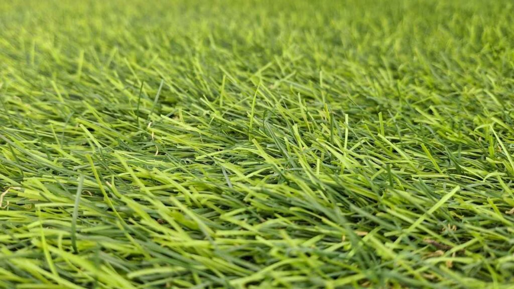 Stop Turf Melting Low-E Window Reflection Fixes & Heat Shields