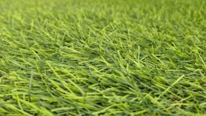 Stop Turf Melting Low-E Window Reflection Fixes & Heat Shields