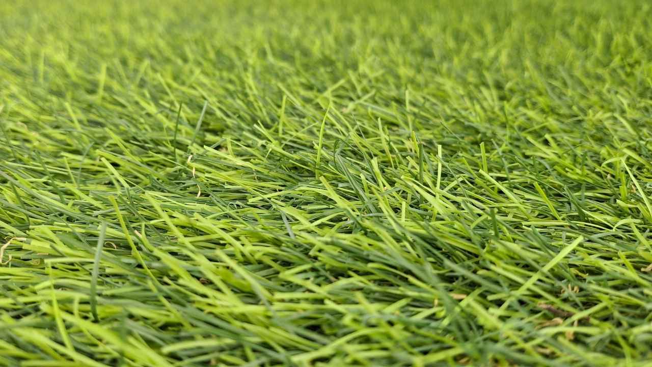 Stop Turf Melting Low-E Window Reflection Fixes & Heat Shields