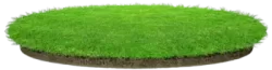 Backyard - Fresh Turf Solutions