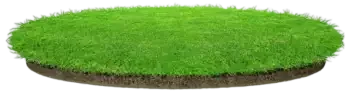 Backyard - Fresh Turf Solutions